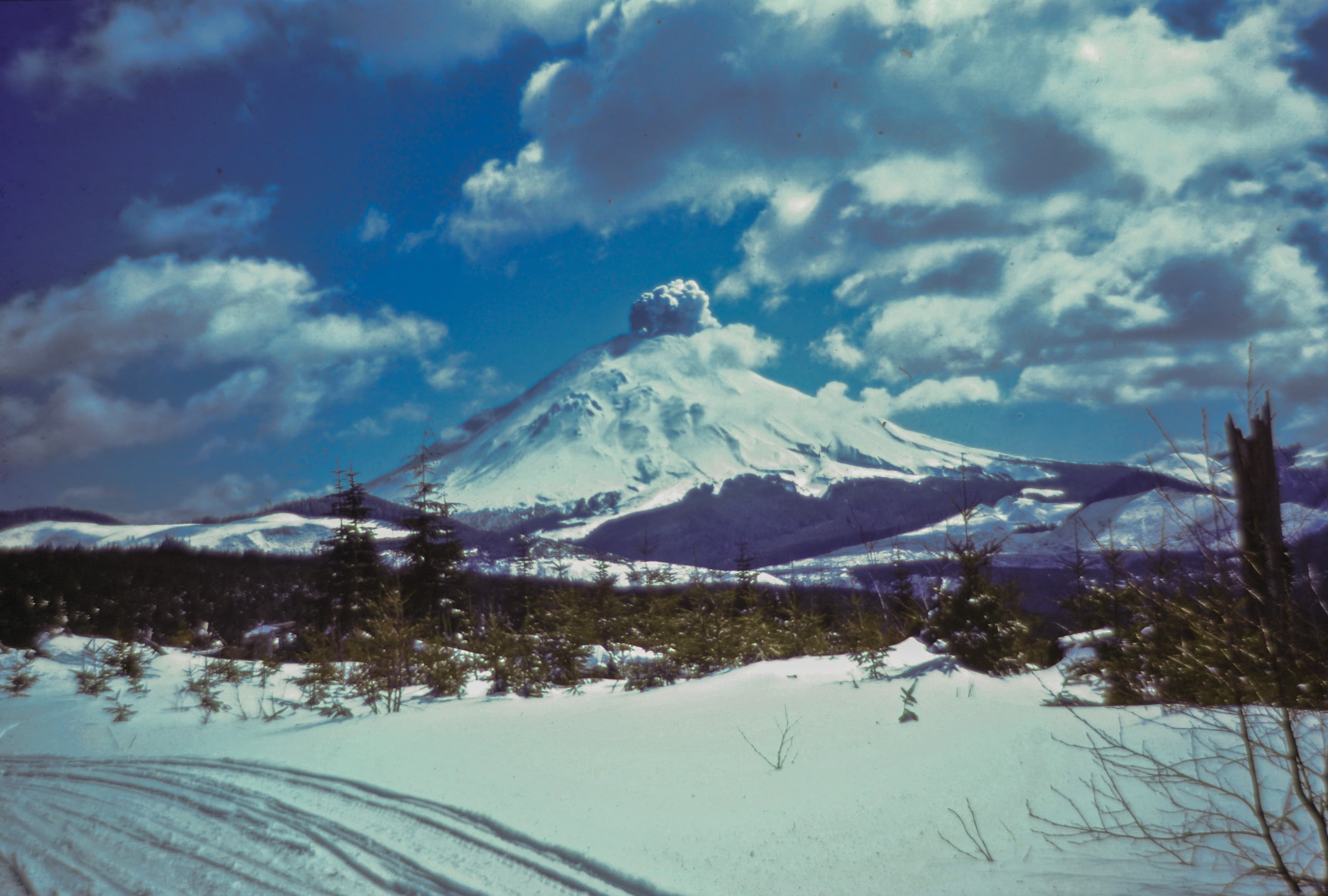 April 1980 Phreatic eruption of Mount St. Helens from Weyerhaeuser road on ridge between South and North Fork Toutle Rivers